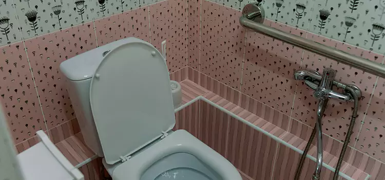 Meeting Diverse Needs With Accessible Restroom Solutions in Costa Mesa, CA